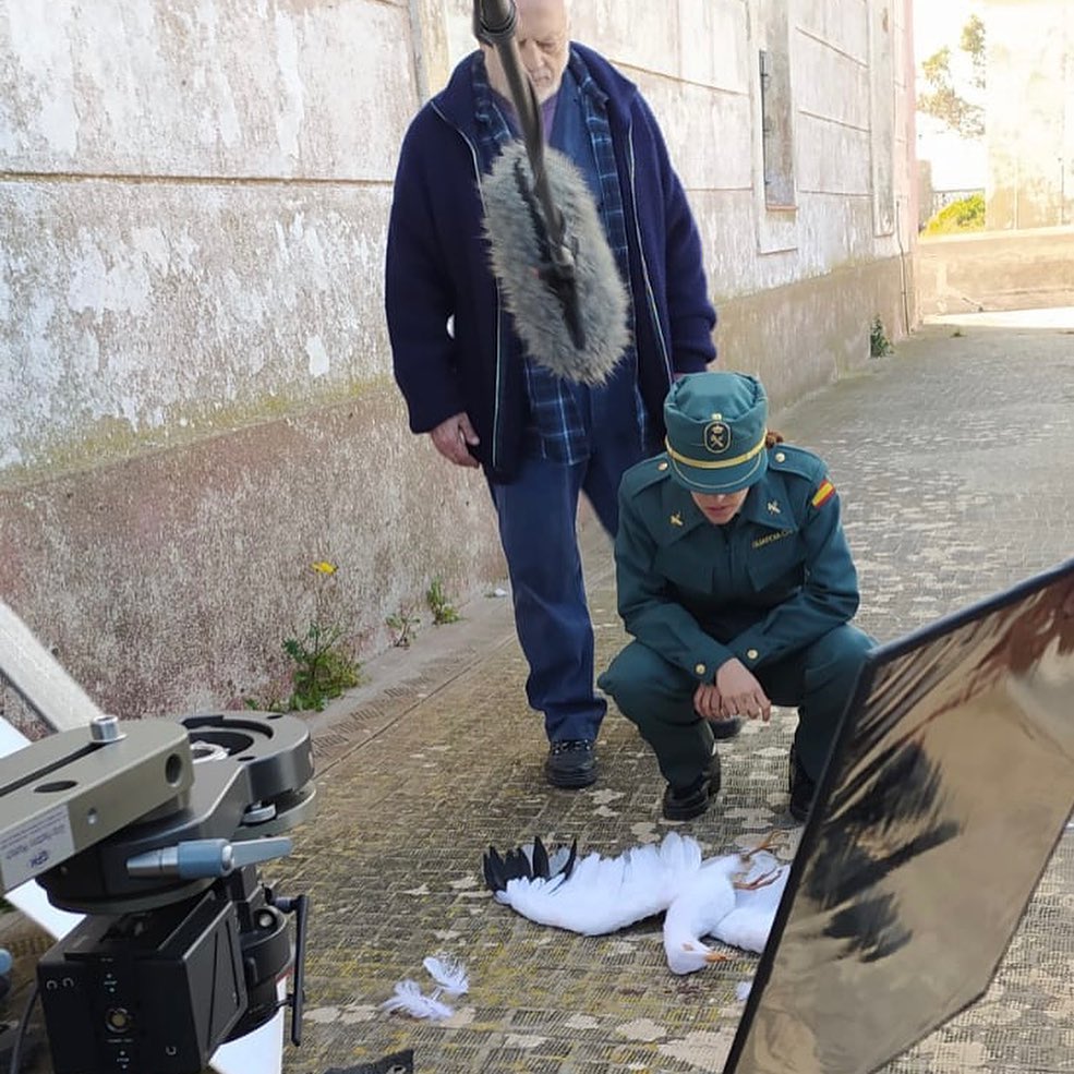 Trabajo animatrónico para Paraíso T1